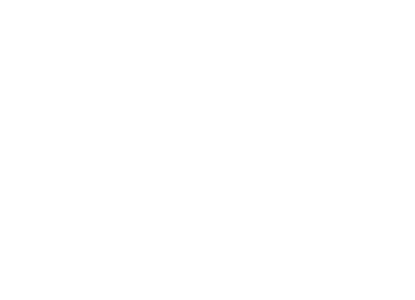 logo associazione altoliventina aps