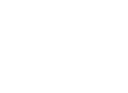 logo fondazione friuli