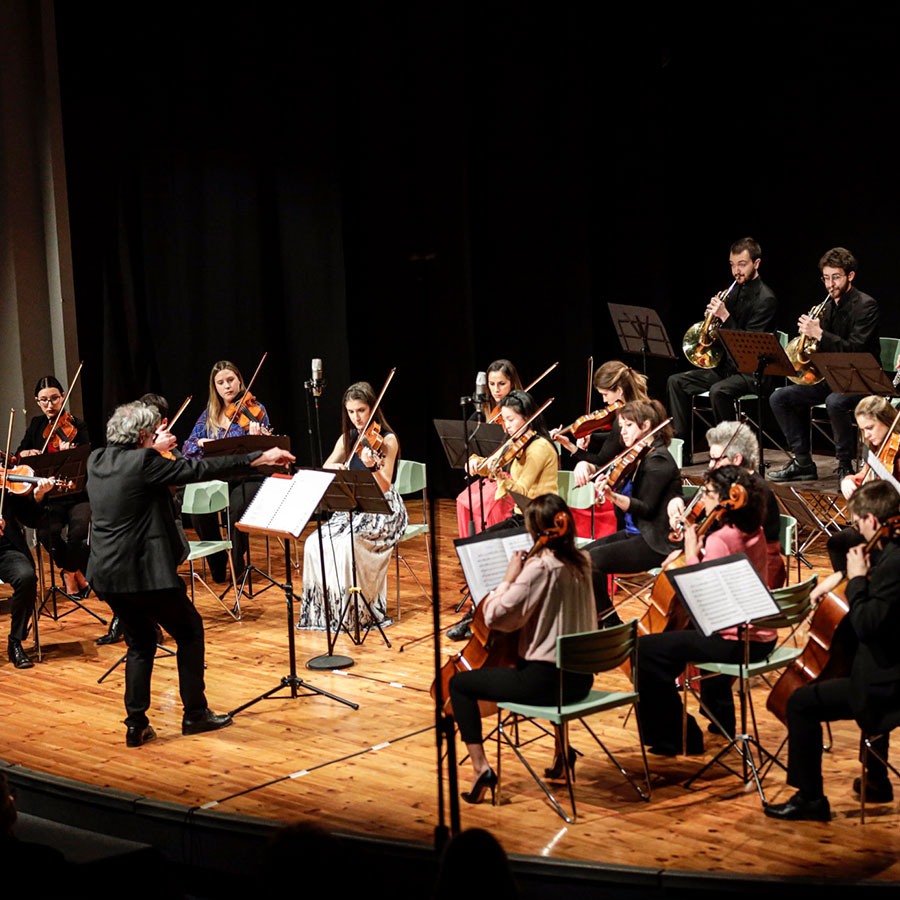 Accademia d'archi Arrigoni