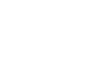 logo associazione altoliventina aps